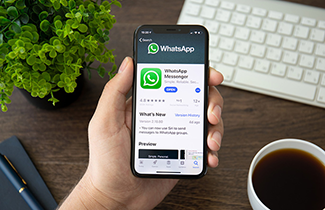 Work From Home Using WhatsApp! 